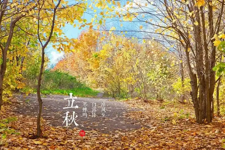 今日立秋丨立秋“咬秋”，静候丰收！